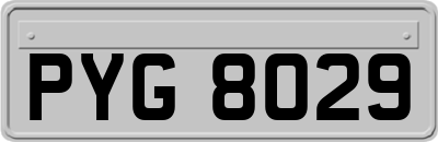 PYG8029