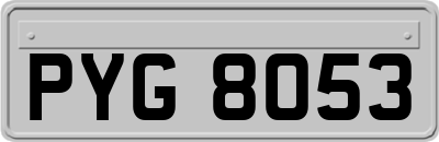 PYG8053