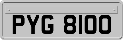 PYG8100