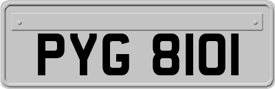 PYG8101