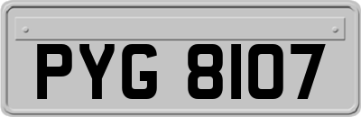 PYG8107