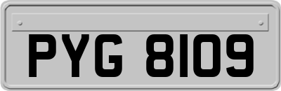 PYG8109