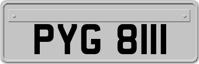 PYG8111