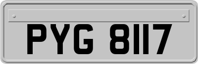 PYG8117