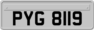 PYG8119