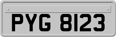 PYG8123