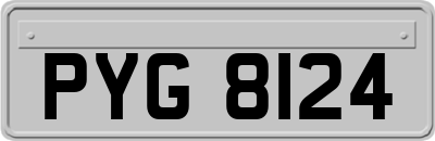 PYG8124