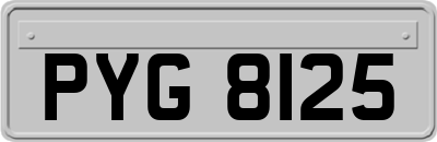 PYG8125