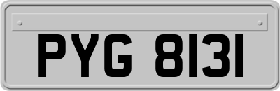 PYG8131
