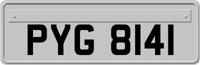 PYG8141