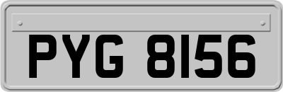 PYG8156