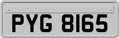 PYG8165