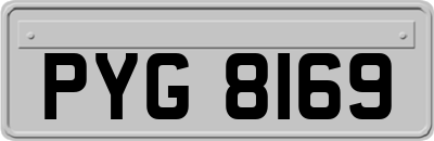 PYG8169