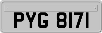 PYG8171