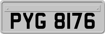 PYG8176