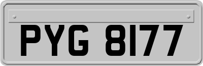 PYG8177