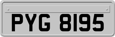 PYG8195