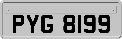 PYG8199