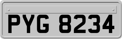 PYG8234