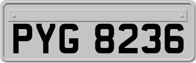 PYG8236