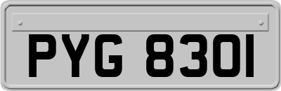 PYG8301