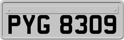 PYG8309