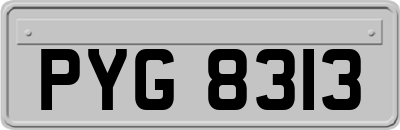 PYG8313