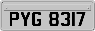 PYG8317