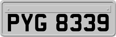 PYG8339