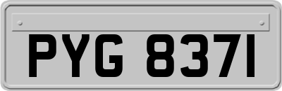 PYG8371