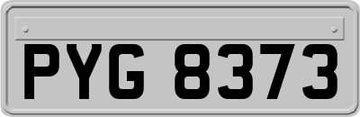 PYG8373