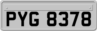 PYG8378