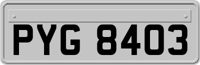 PYG8403