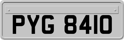 PYG8410