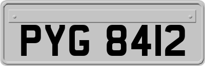 PYG8412