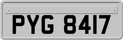 PYG8417