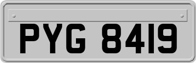 PYG8419