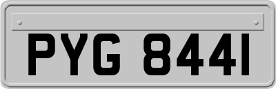 PYG8441