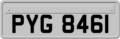 PYG8461