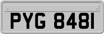 PYG8481