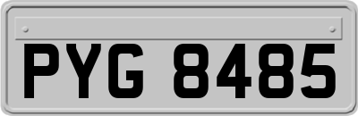 PYG8485