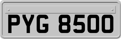 PYG8500