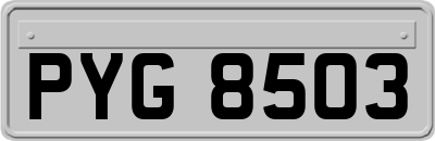 PYG8503