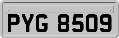 PYG8509