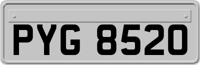 PYG8520