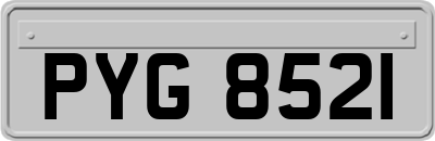 PYG8521