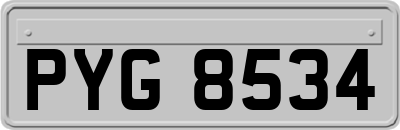 PYG8534