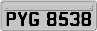 PYG8538