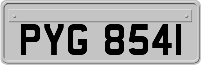 PYG8541