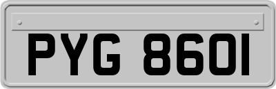 PYG8601